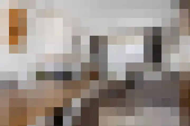 Karolinastraat 18 Oud Gastel thumbnail 16