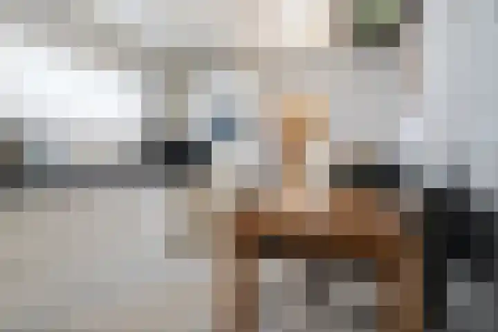 Karolinastraat 18 Oud Gastel thumbnail 18