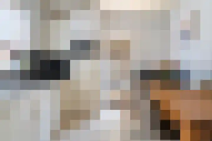 Karolinastraat 18 Oud Gastel thumbnail 19