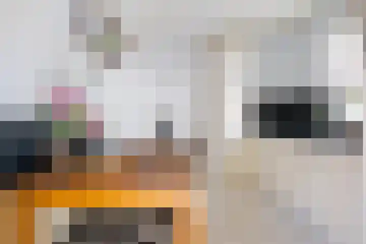 Karolinastraat 18 Oud Gastel thumbnail 20