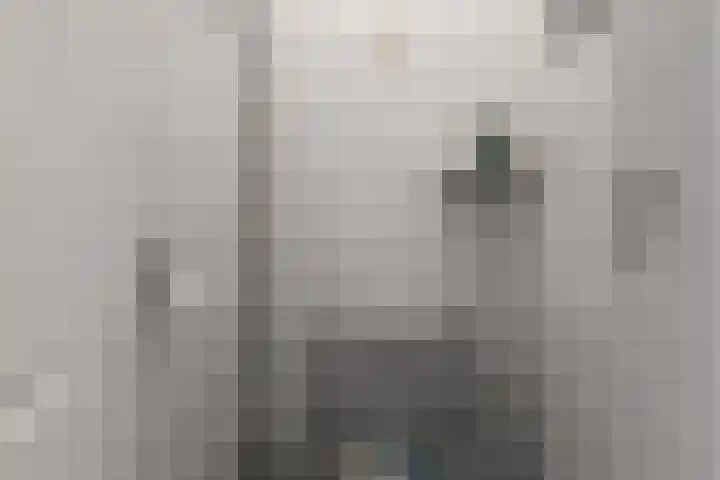 Karolinastraat 18 Oud Gastel thumbnail 25