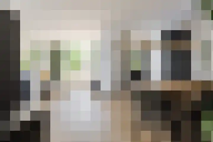 Karolinastraat 30 Oud Gastel thumbnail 10