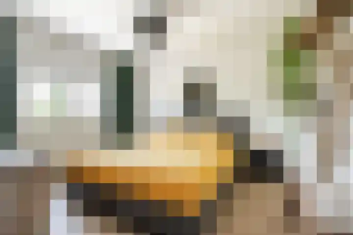 Karolinastraat 30 Oud Gastel thumbnail 23