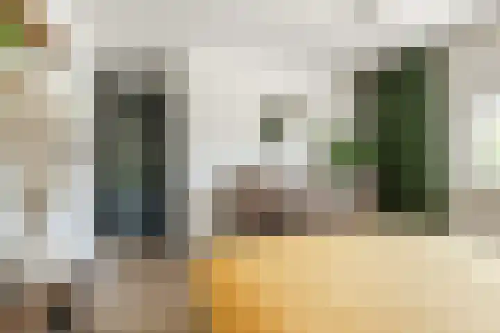 Karolinastraat 30 Oud Gastel thumbnail 24