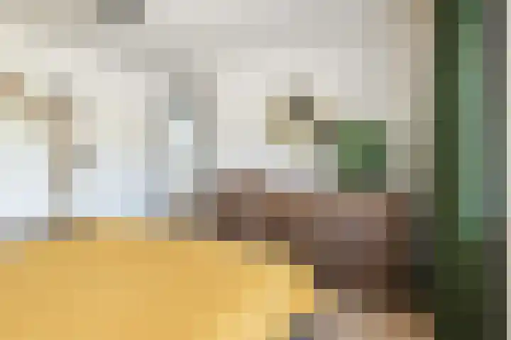 Karolinastraat 30 Oud Gastel thumbnail 25