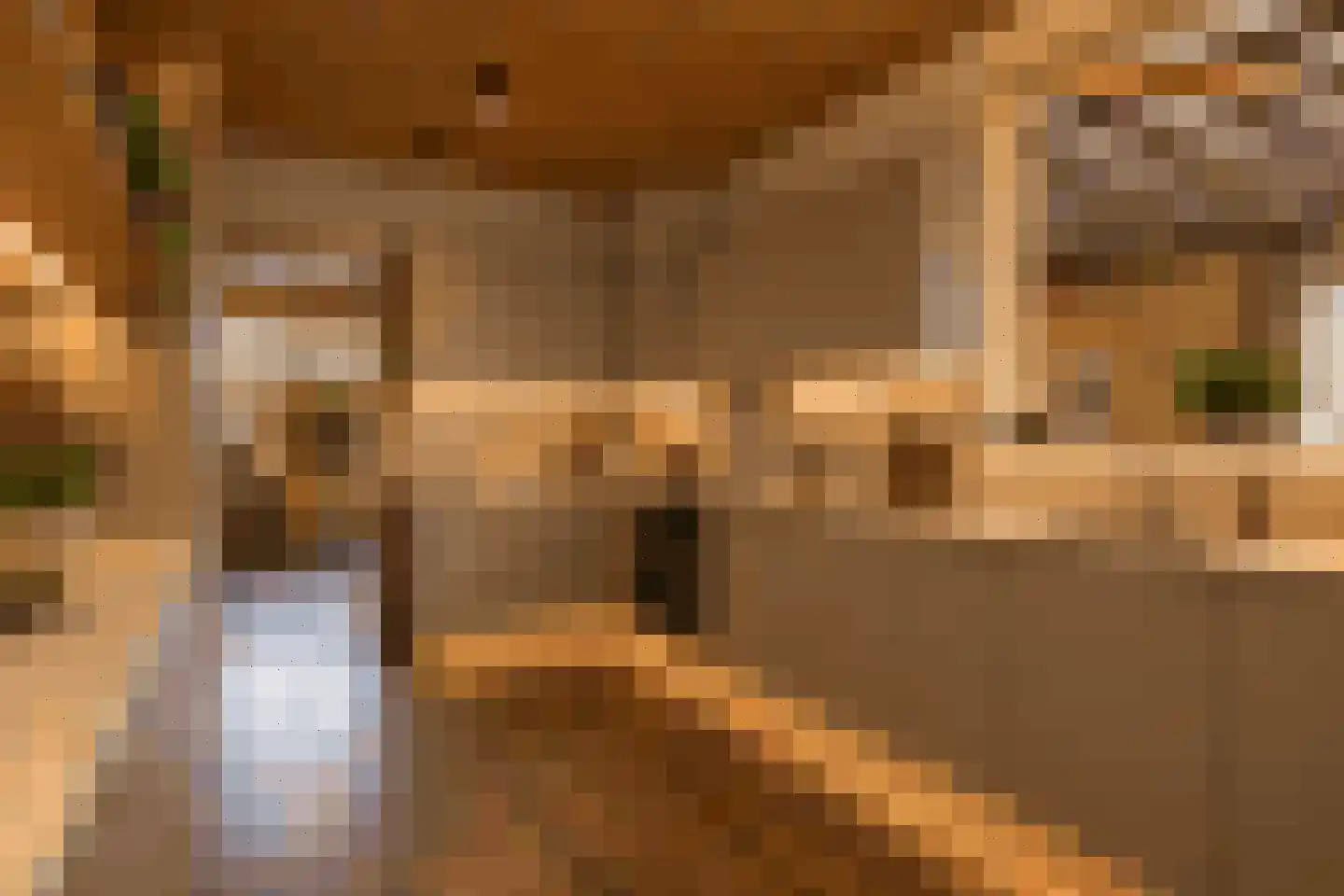 Karolingenstraat 1 Simpelveld thumbnail 11