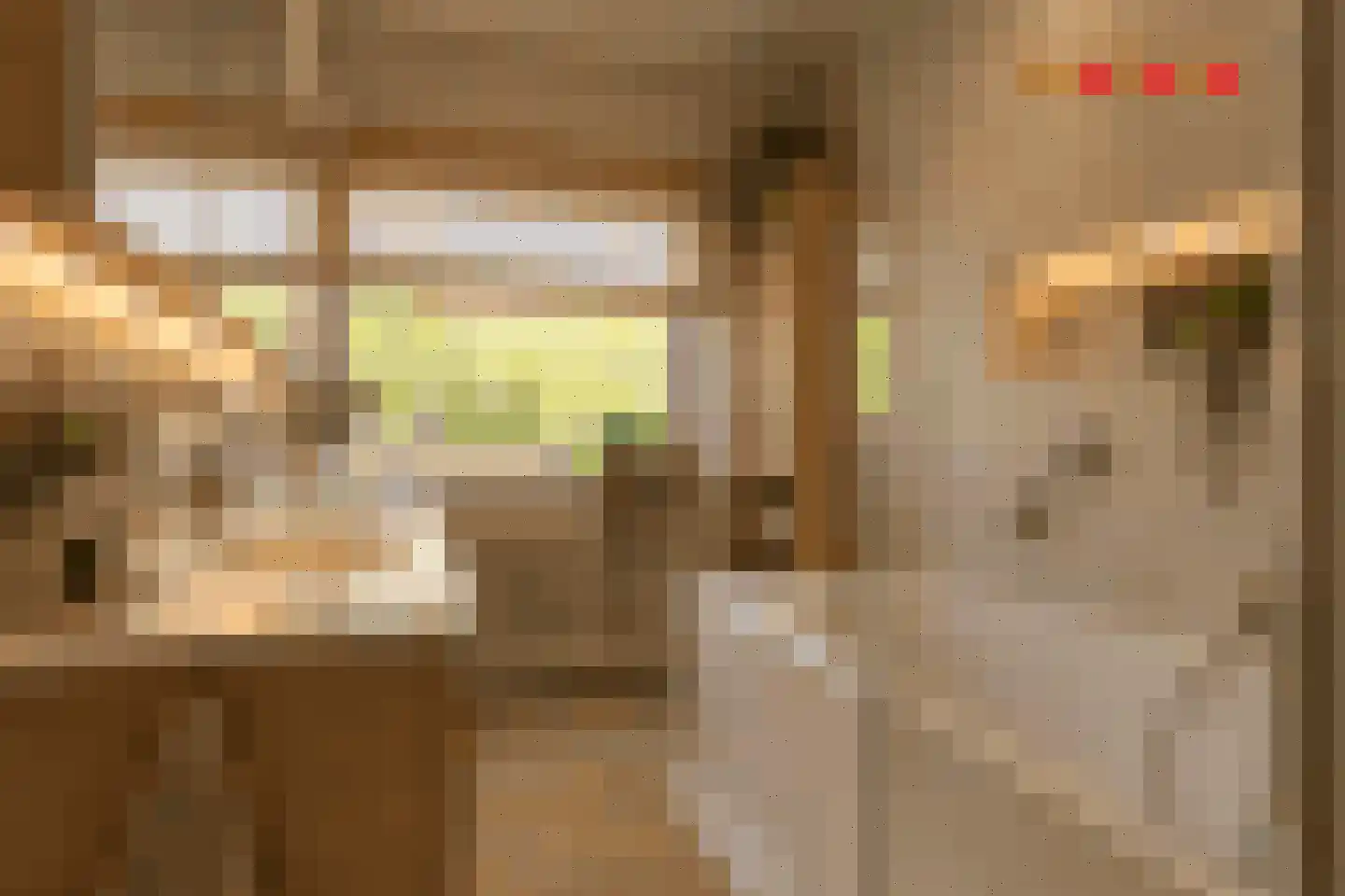 Karolingenstraat 1 Simpelveld thumbnail 17