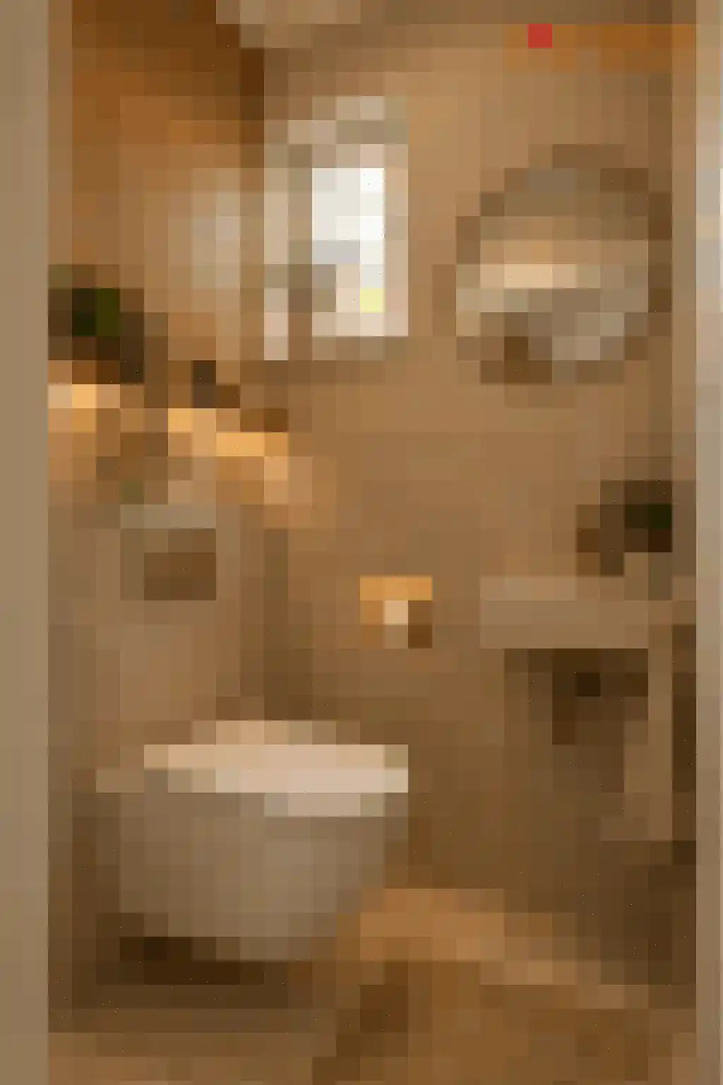 Karolingenstraat 1 Simpelveld thumbnail 19