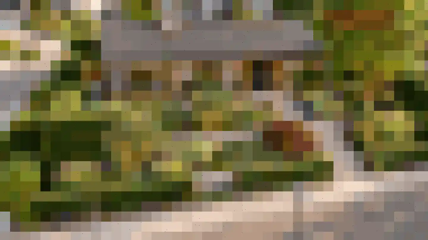 Karolingenstraat 1 Simpelveld thumbnail 27