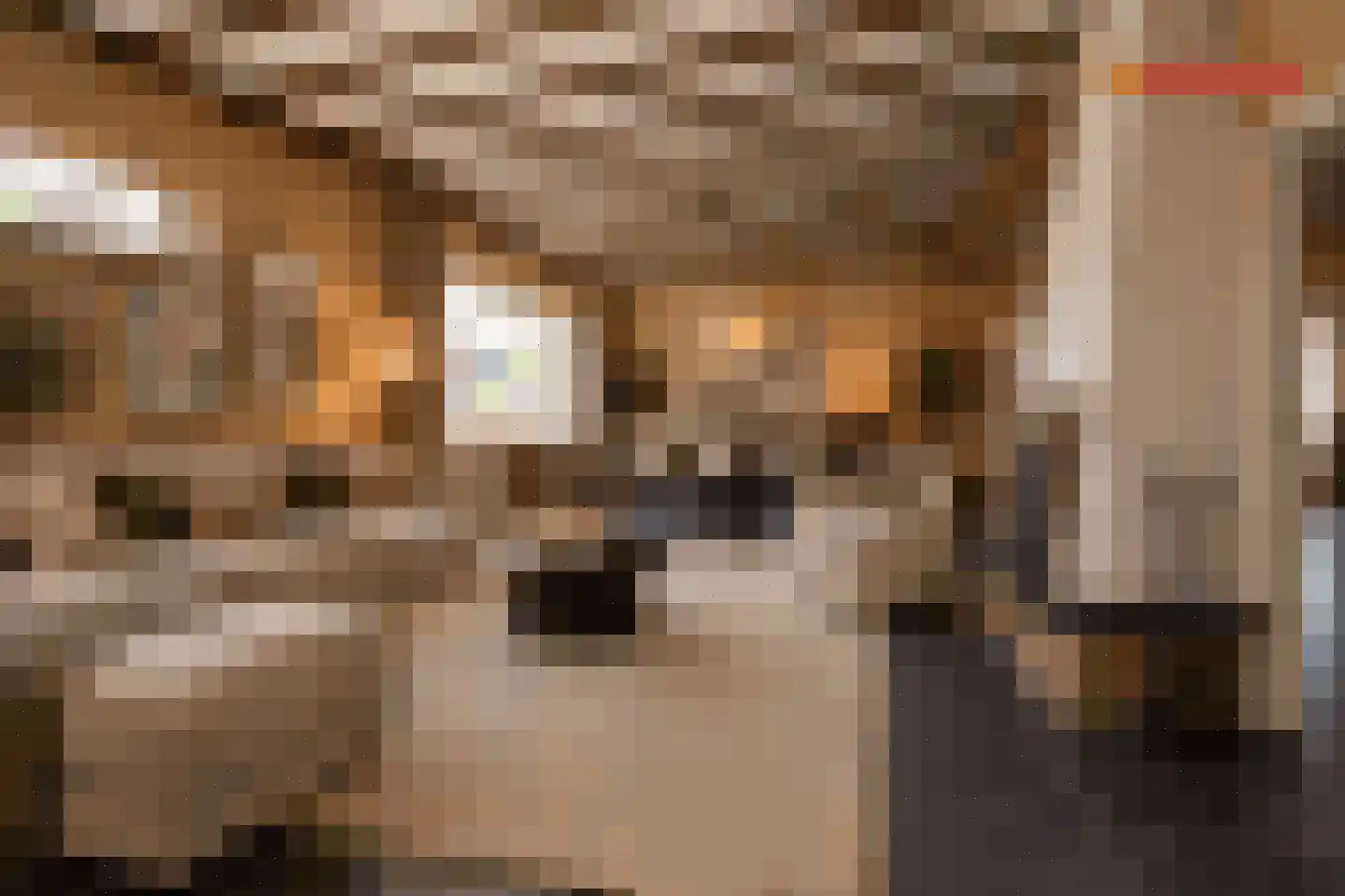 Karolingenstraat 1 Simpelveld thumbnail 7