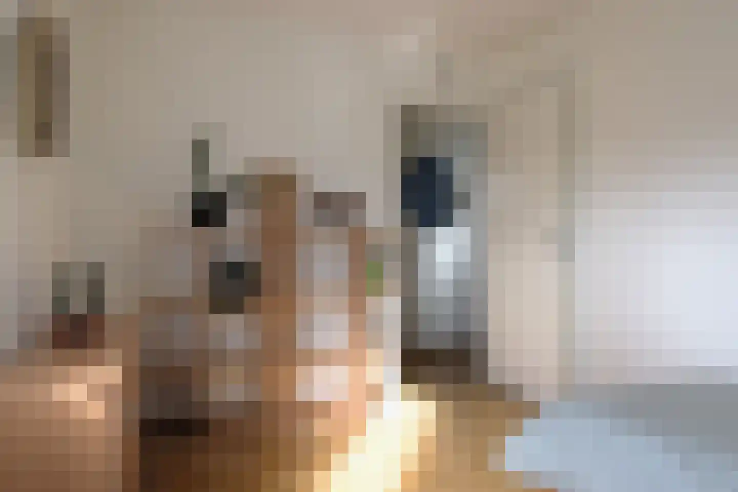 Karolingenstraat 2 Simpelveld thumbnail 18