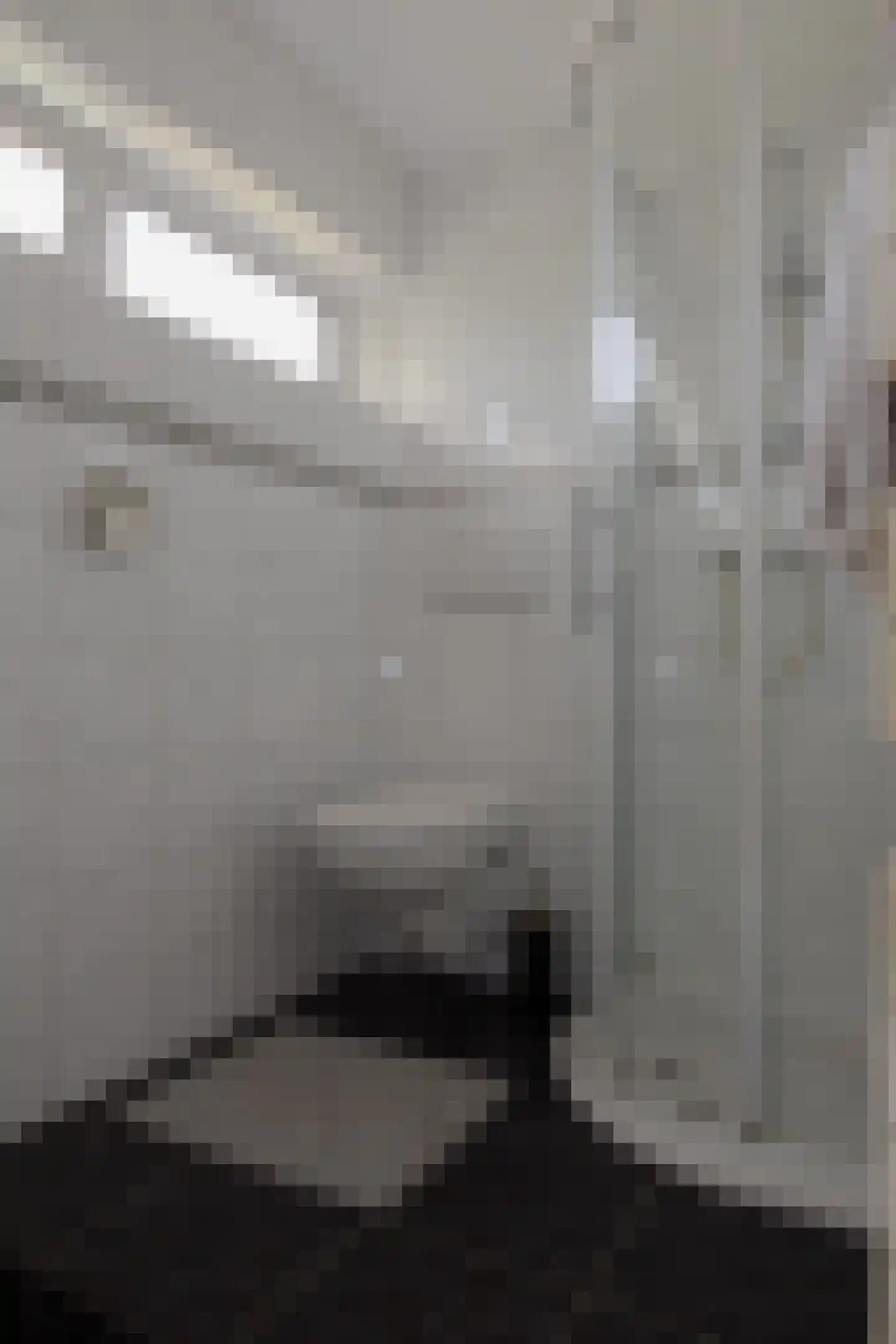 Karolingenstraat 2 Simpelveld thumbnail 19