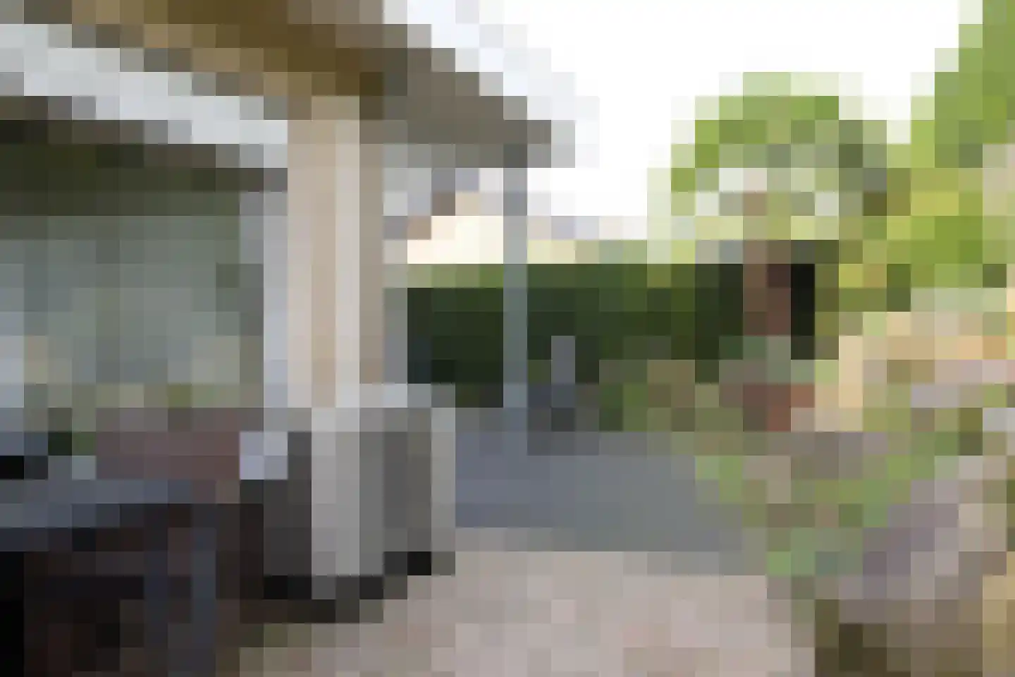 Karolingenstraat 2 Simpelveld thumbnail 23