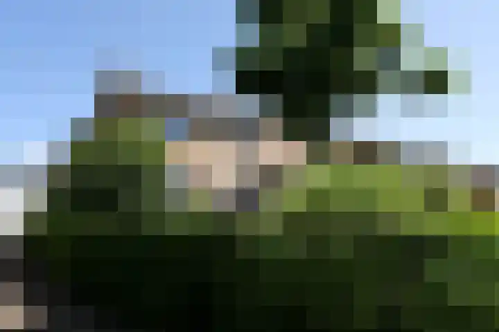Karolingenstraat 22 Simpelveld thumbnail 15