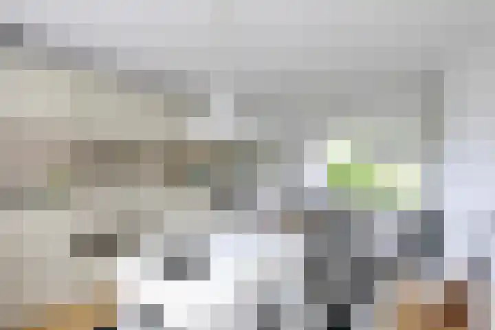 Karolingenstraat 22 Simpelveld thumbnail 5