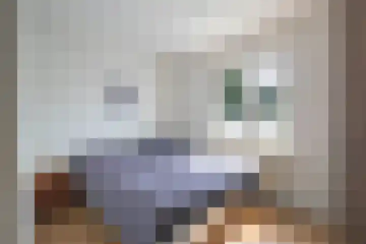 Karolingenstraat 7 Maastricht thumbnail 7