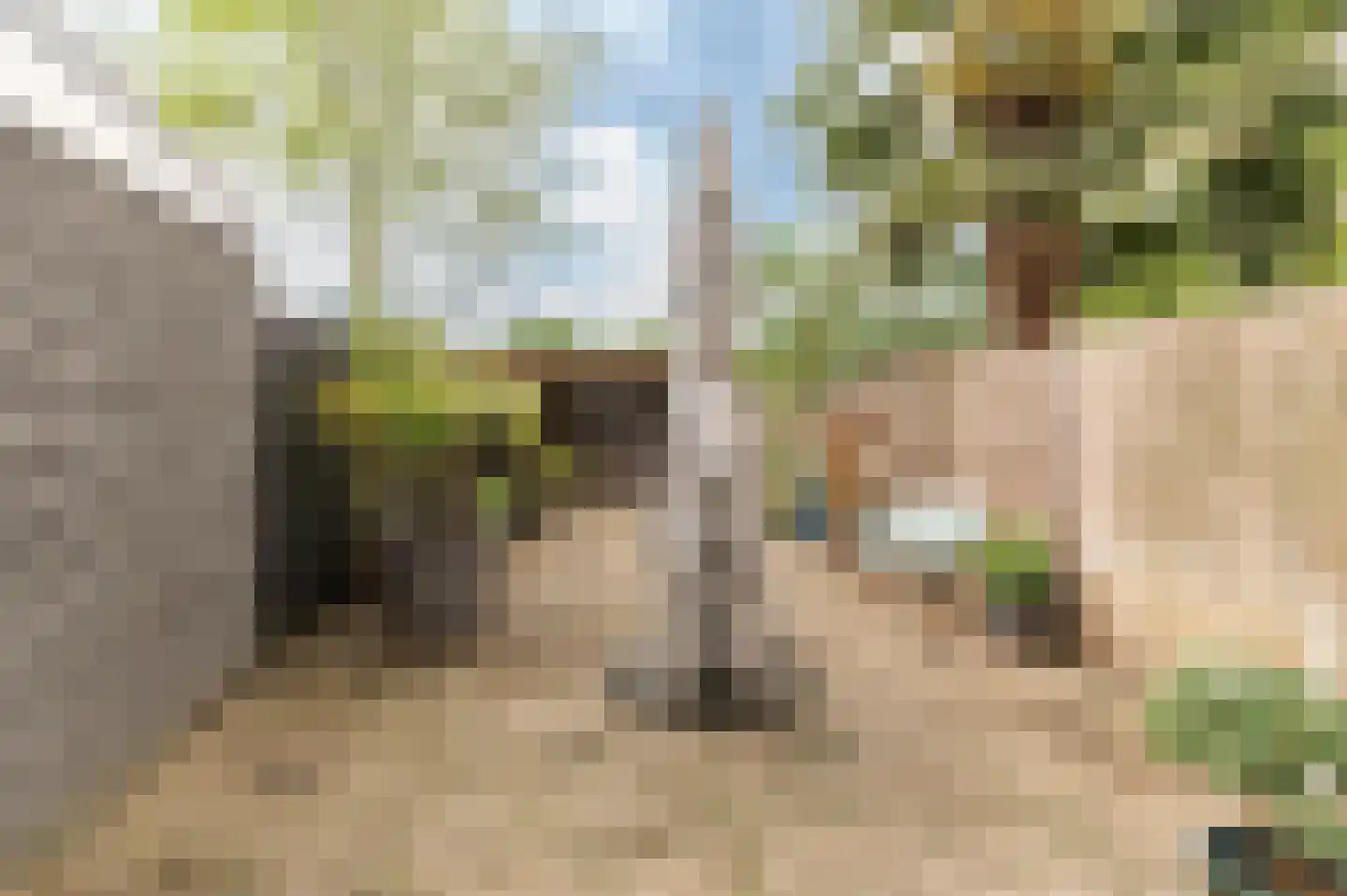 Karolingersweg 122 Wijk bij Duurstede thumbnail 11