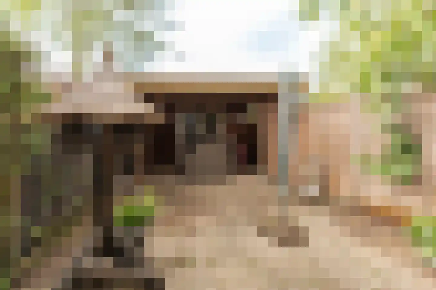 Karolingersweg 122 Wijk bij Duurstede thumbnail 13