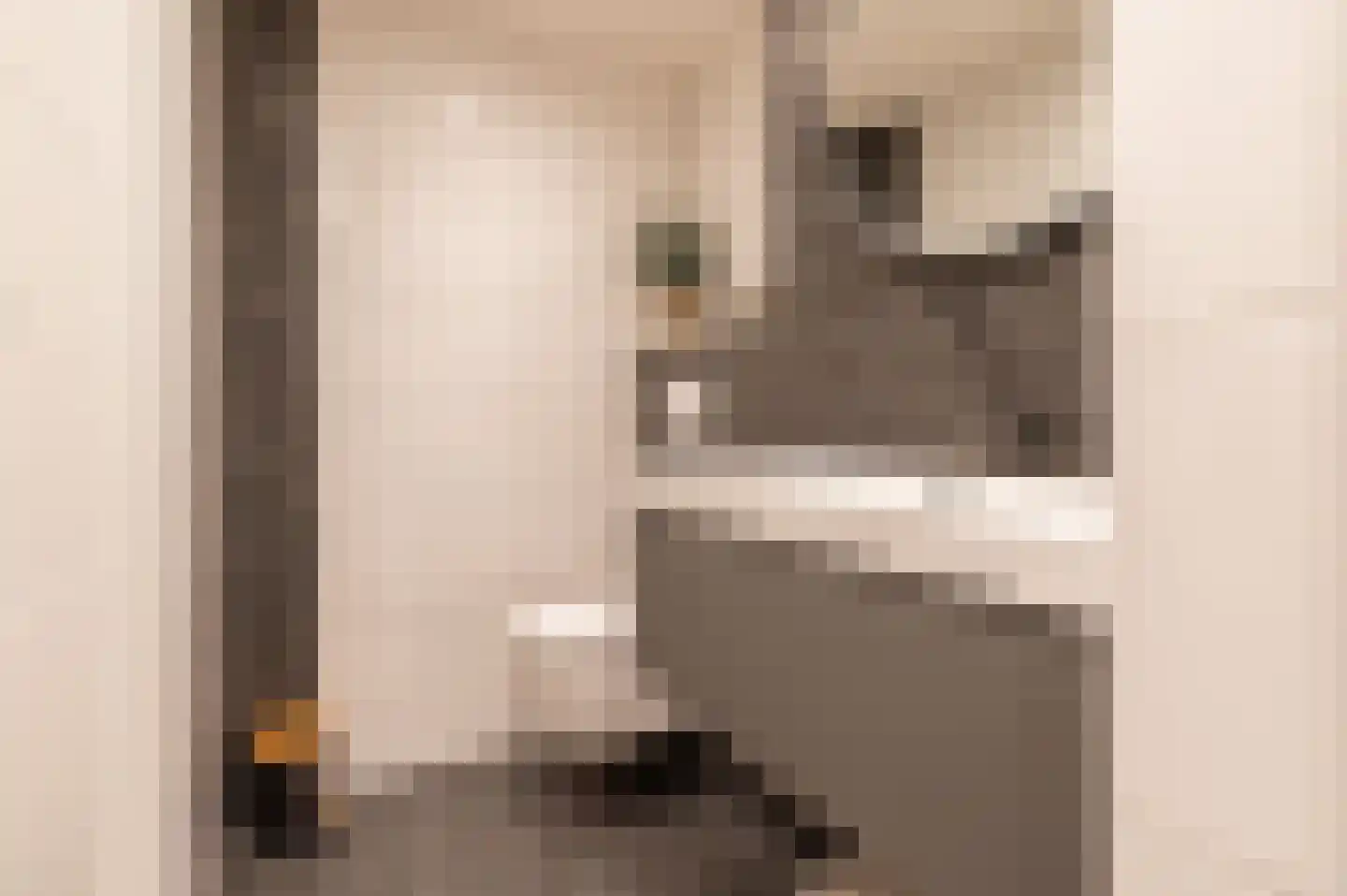 Karolingersweg 122 Wijk bij Duurstede thumbnail 21
