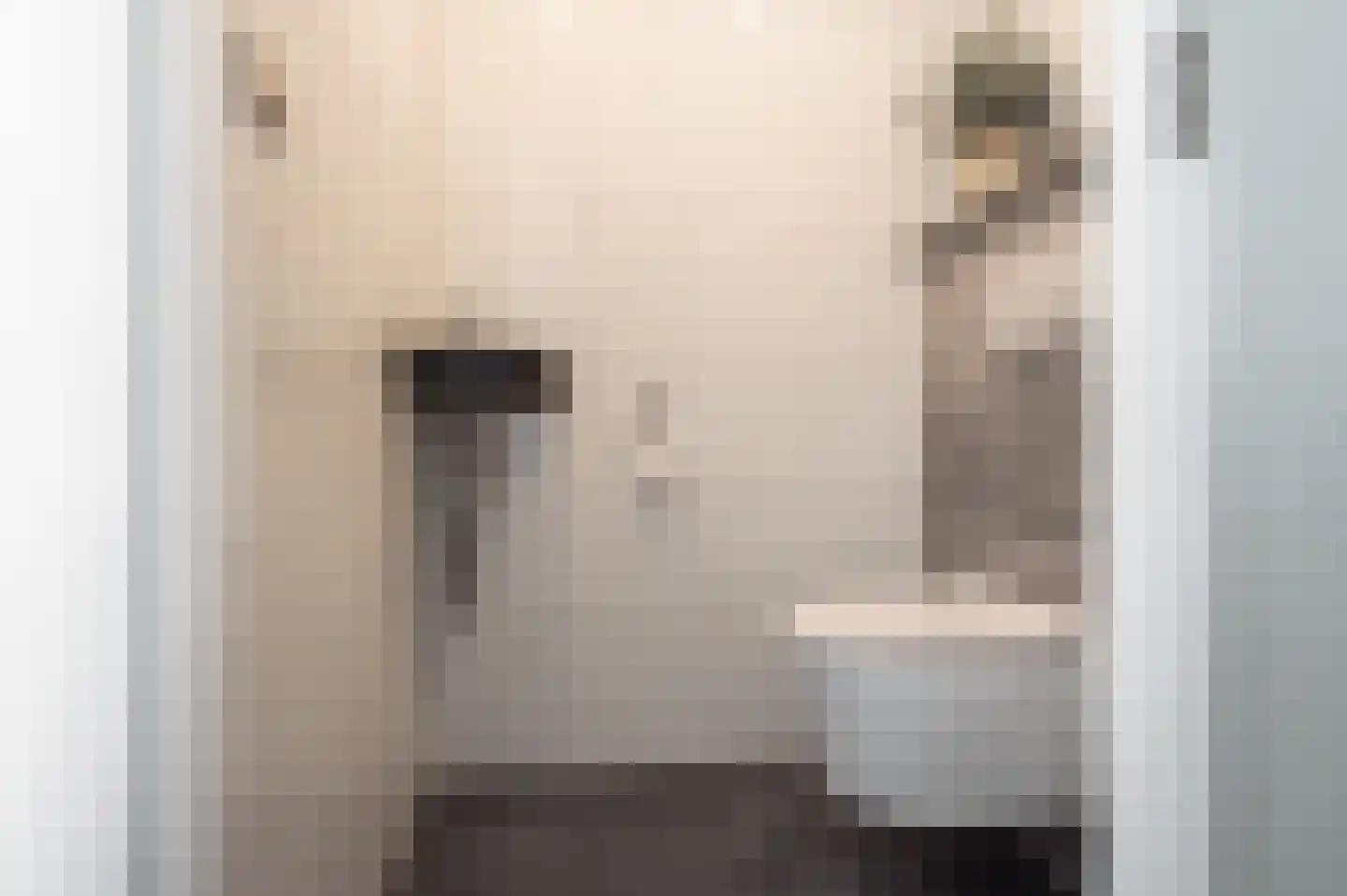 Karolingersweg 122 Wijk bij Duurstede thumbnail 5