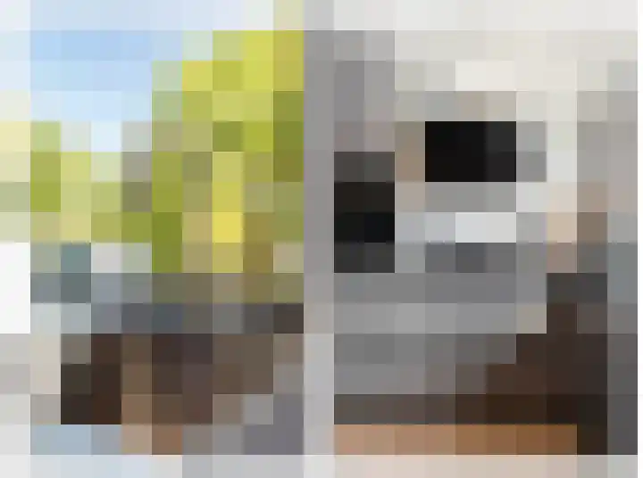 Karolingersweg 124 Wijk bij Duurstede thumbnail 11
