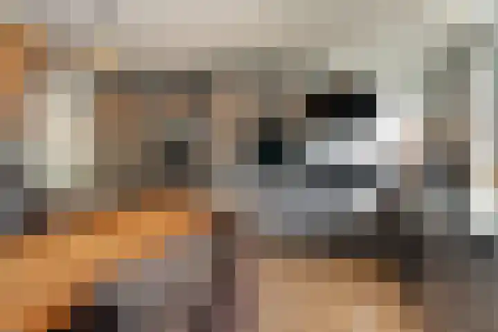 Karolingersweg 124 Wijk bij Duurstede thumbnail 12