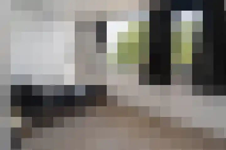 Karolingersweg 124 Wijk bij Duurstede thumbnail 17