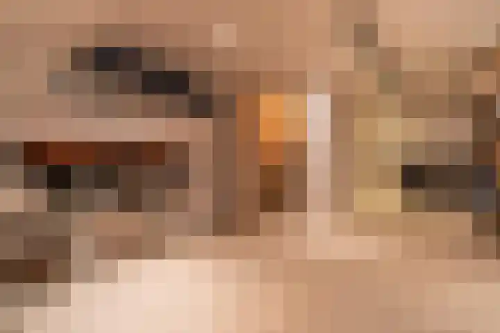 Karolingersweg 124 Wijk bij Duurstede thumbnail 23