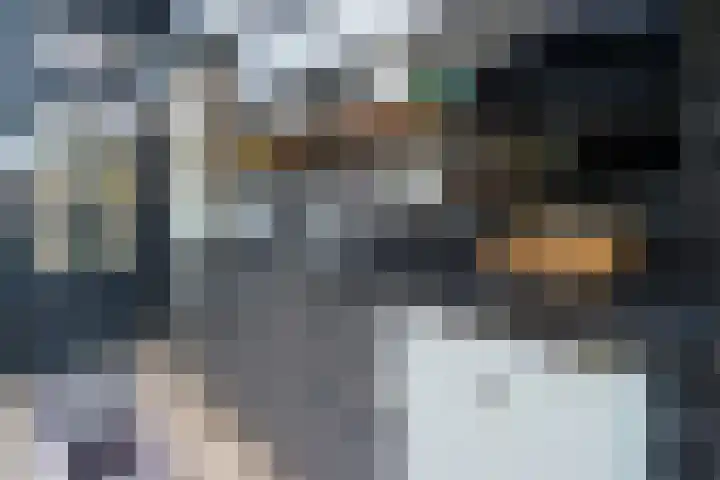 Karolingersweg 124 Wijk bij Duurstede thumbnail 24