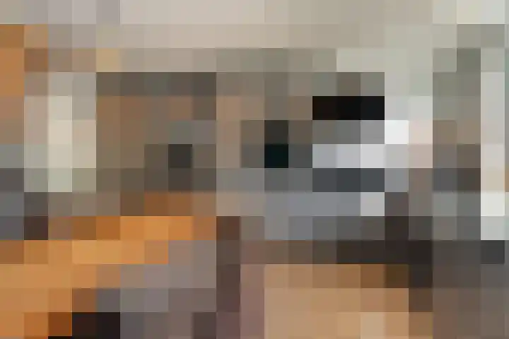 Karolingersweg 124 Wijk bij Duurstede thumbnail 4
