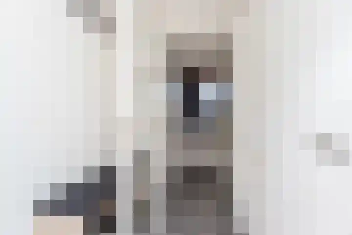 Karolingersweg 124 Wijk bij Duurstede thumbnail 5