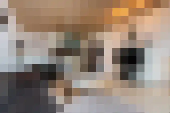 Karolingersweg 124 Wijk bij Duurstede thumbnail 6