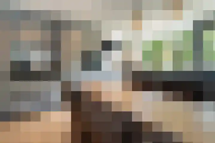 Karolingersweg 124 Wijk bij Duurstede thumbnail 9