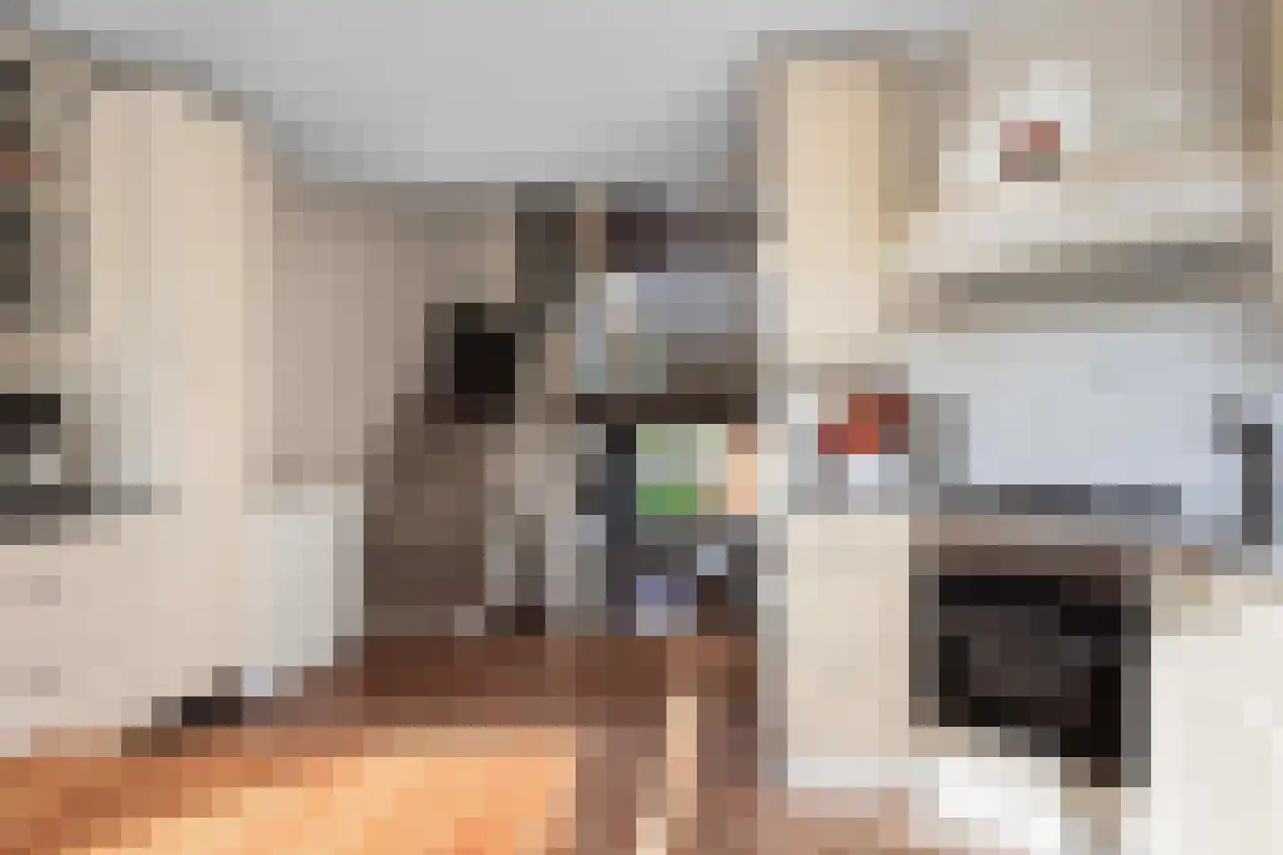 Karolingersweg 136 Wijk bij Duurstede thumbnail 17