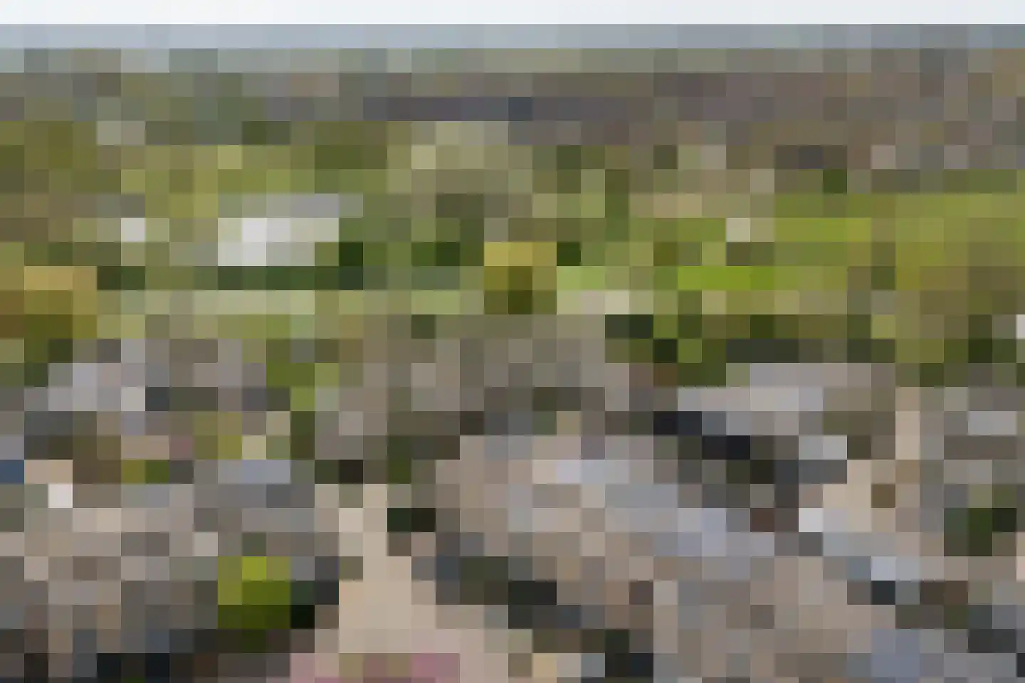 Karolingersweg 136 Wijk bij Duurstede thumbnail 36