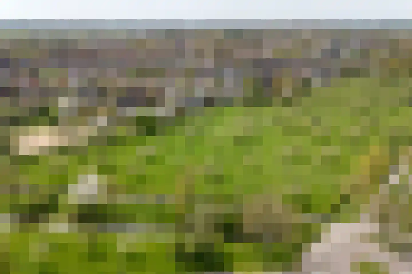 Karolingersweg 136 Wijk bij Duurstede thumbnail 37