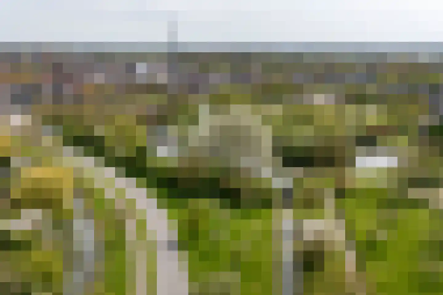 Karolingersweg 136 Wijk bij Duurstede thumbnail 38