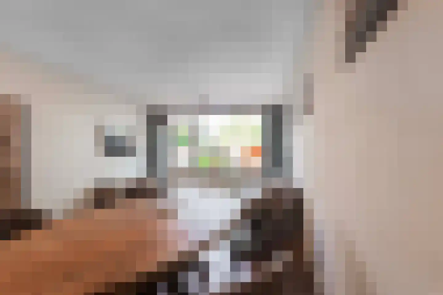 Karolingersweg 136 Wijk bij Duurstede thumbnail 6