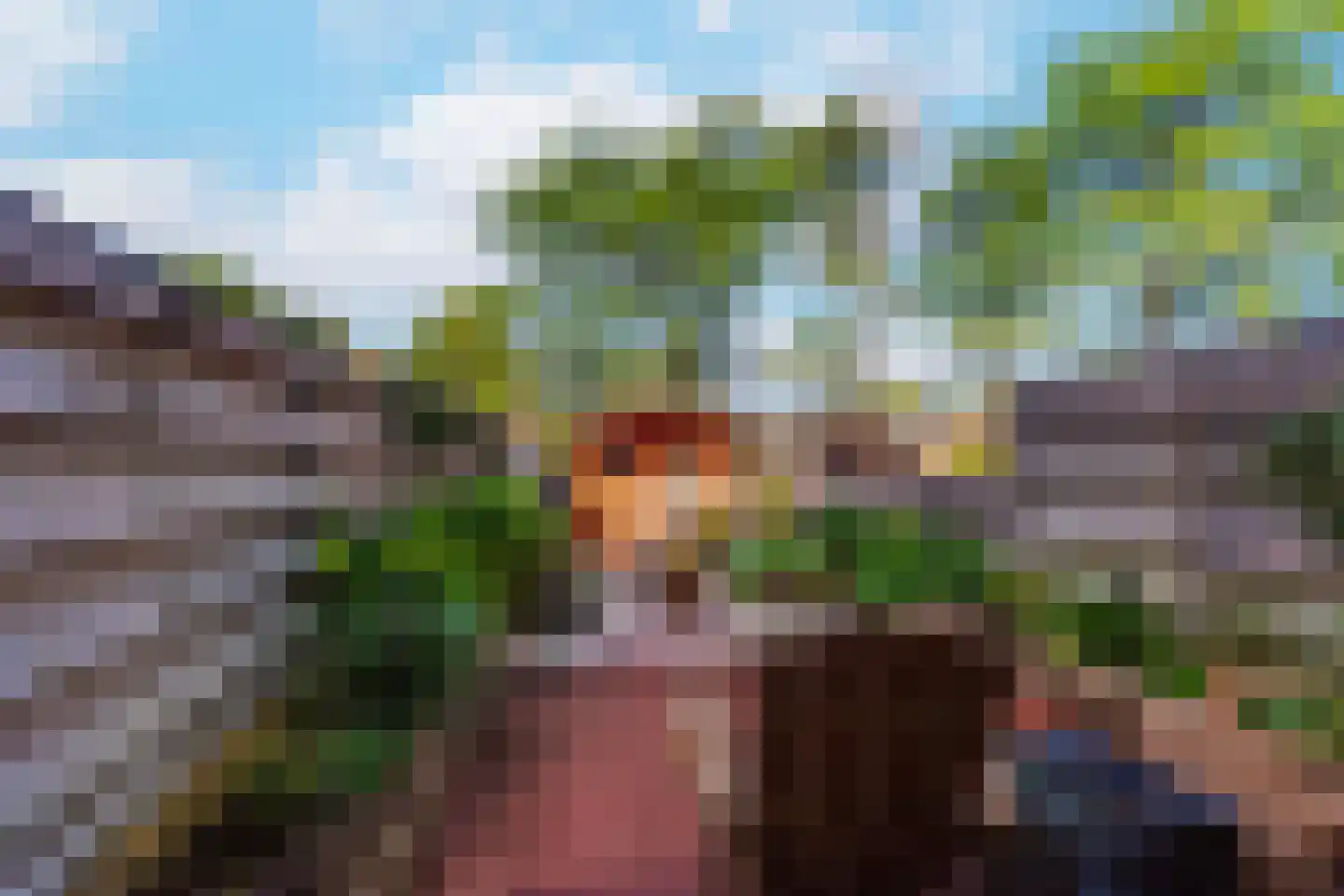 Karolingersweg 136 Wijk bij Duurstede thumbnail 9