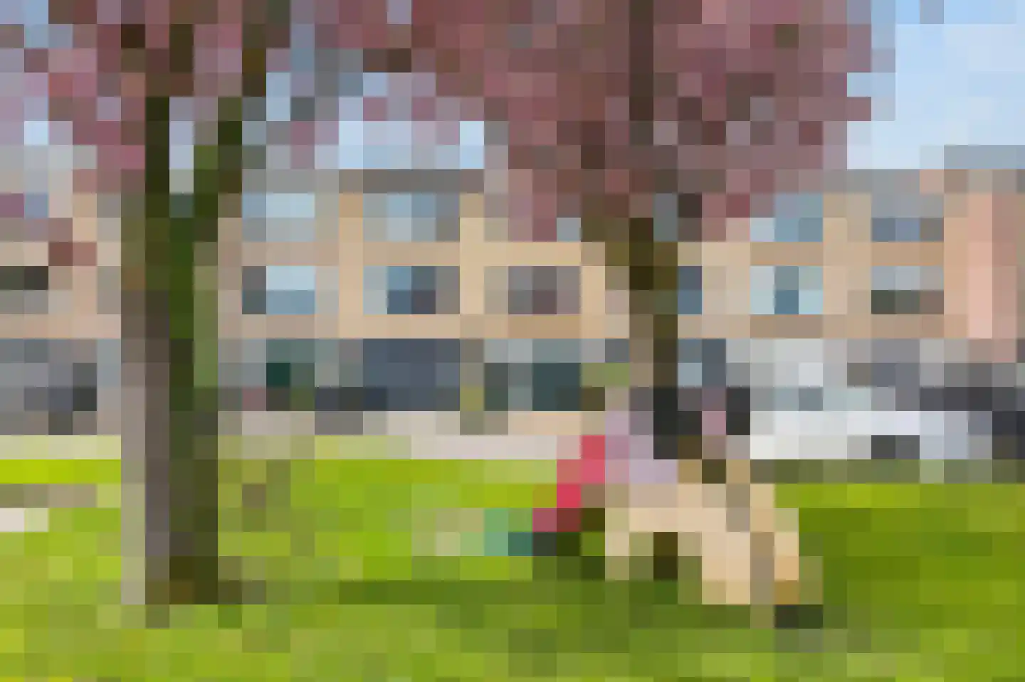 Karolingersweg 138 Wijk bij Duurstede