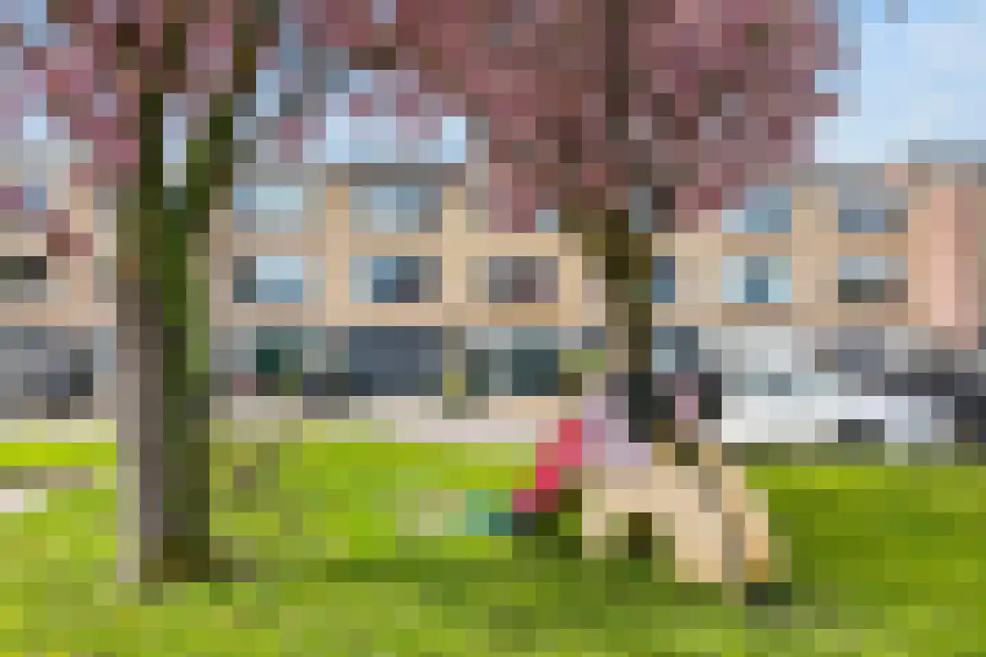 Karolingersweg 138 Wijk bij Duurstede