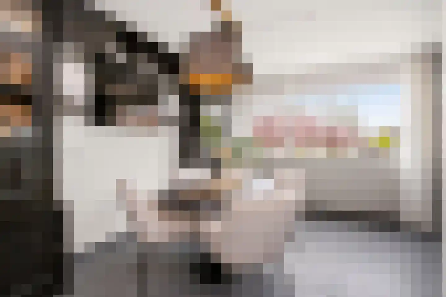 Karolingersweg 138 Wijk bij Duurstede thumbnail 10