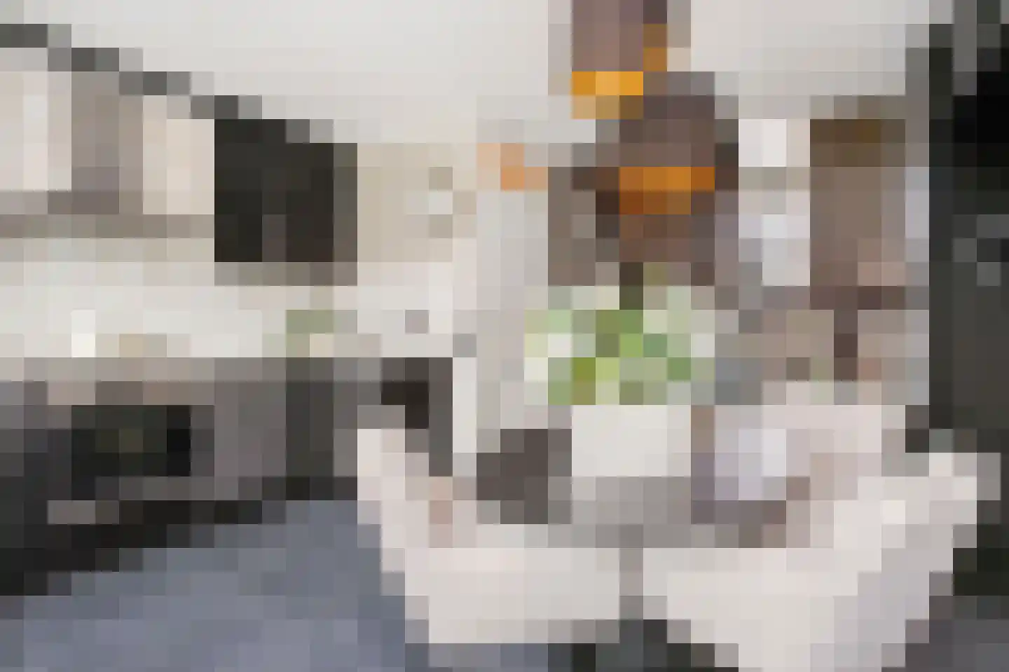 Karolingersweg 138 Wijk bij Duurstede thumbnail 12