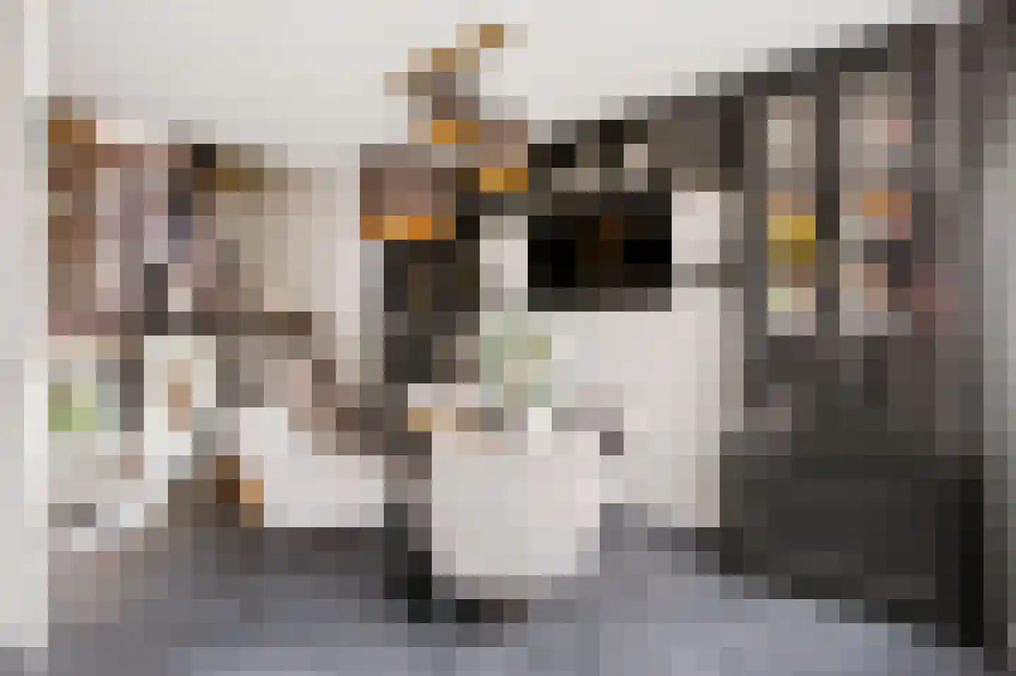 Karolingersweg 138 Wijk bij Duurstede thumbnail 14