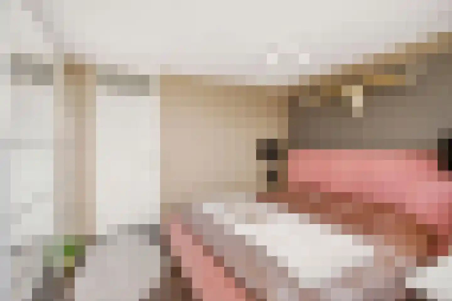 Karolingersweg 138 Wijk bij Duurstede thumbnail 18