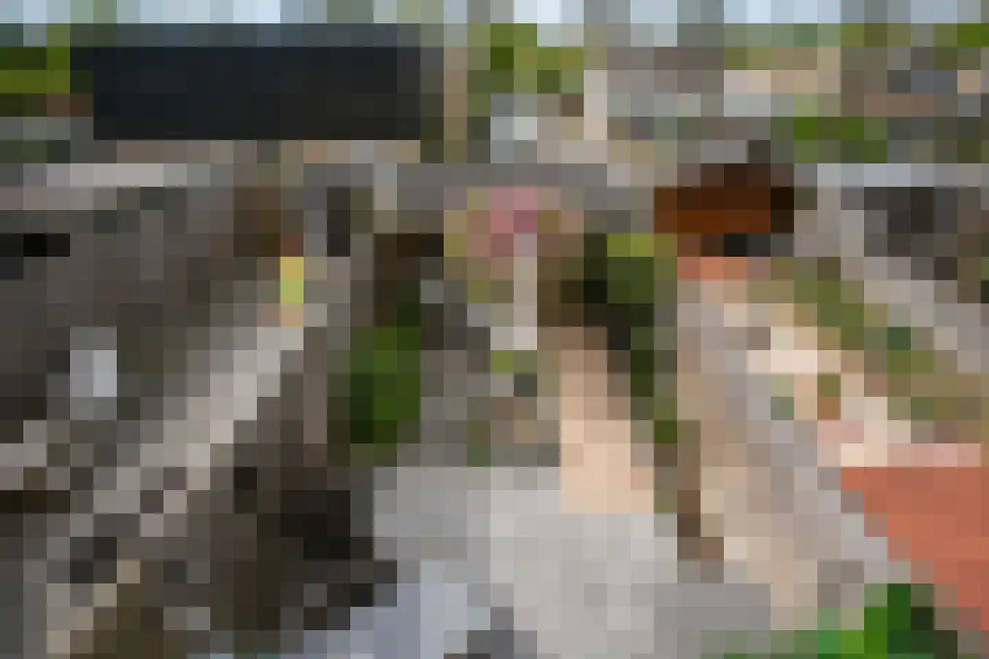Karolingersweg 138 Wijk bij Duurstede thumbnail 21