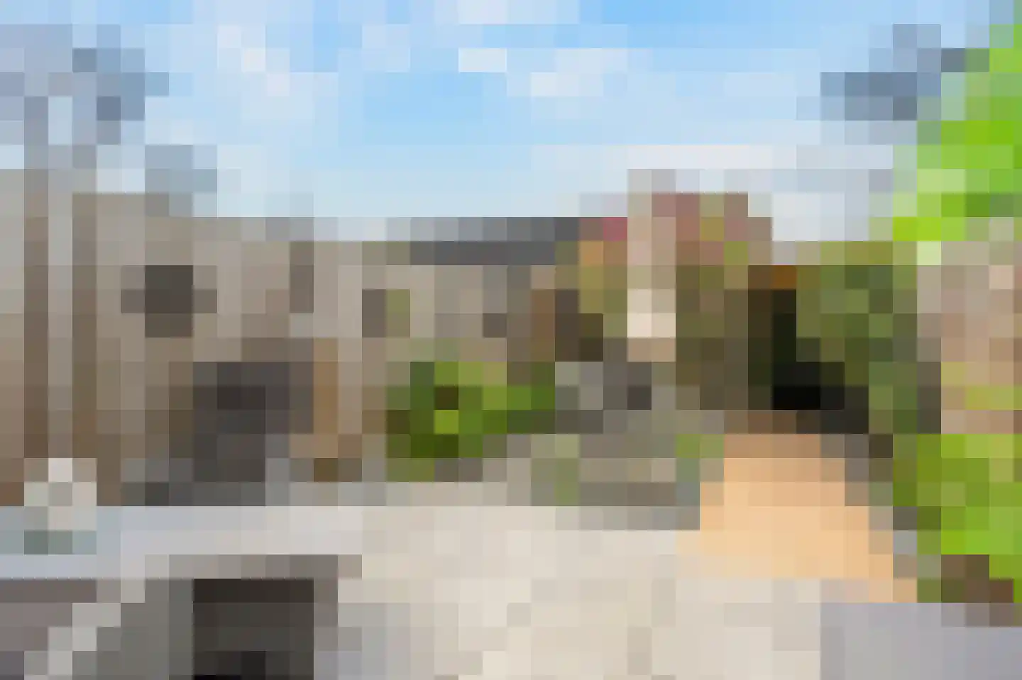 Karolingersweg 138 Wijk bij Duurstede thumbnail 30