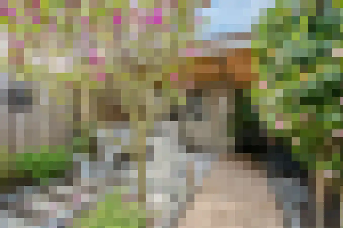 Karolingersweg 138 Wijk bij Duurstede thumbnail 32