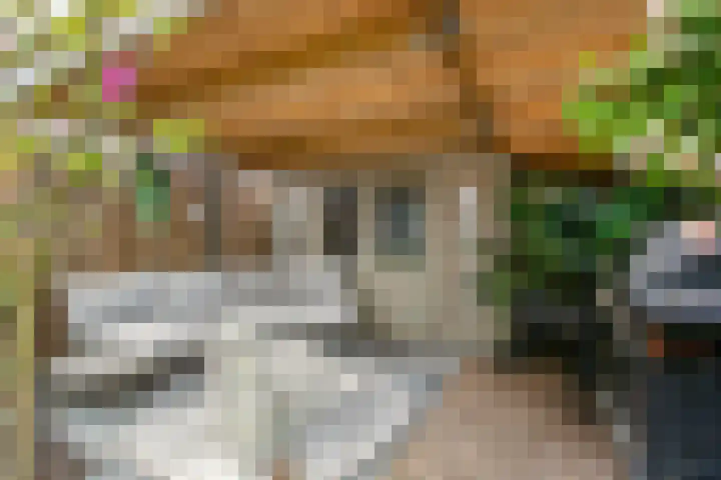 Karolingersweg 138 Wijk bij Duurstede thumbnail 33