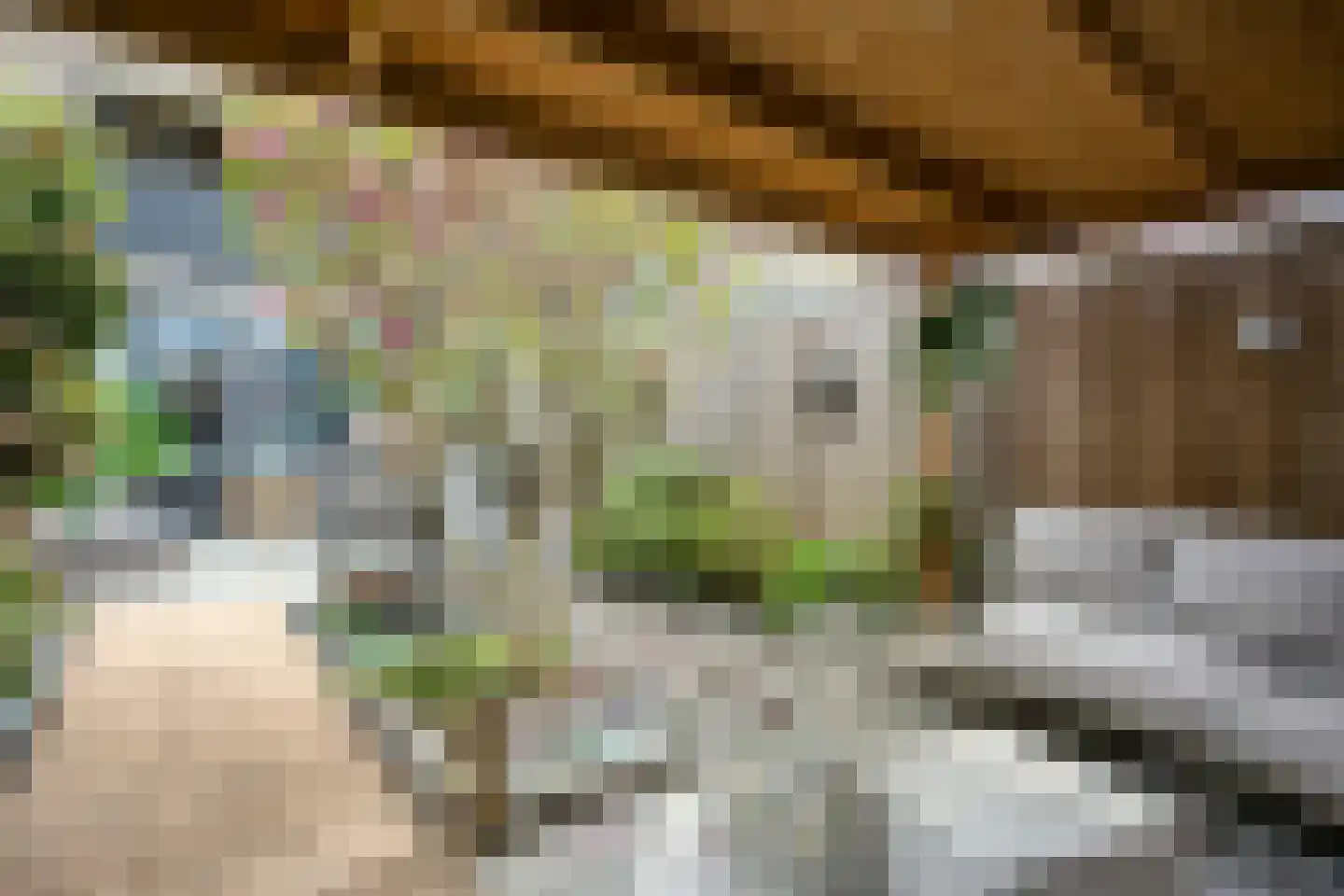 Karolingersweg 138 Wijk bij Duurstede thumbnail 34